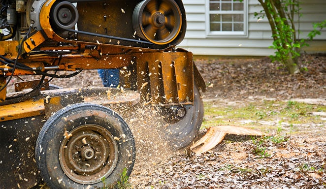 Heavy Unit Removing Tree Christchurch