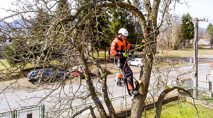Christchurch tree services nz home page image man holding chainsaw