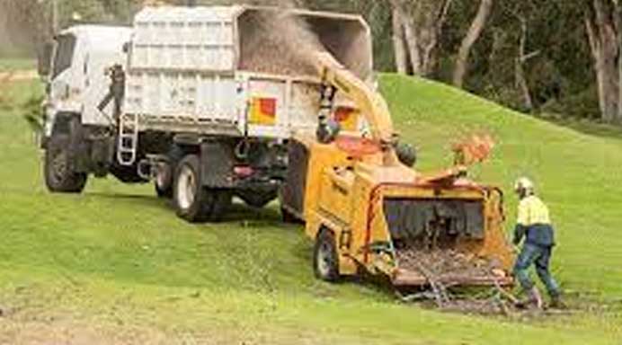 Christchurch Tree Surgeon  about us page - services tree felling and pruning